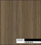 ����� 81001 DSO ���