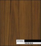 ����� 81002 DSO ���